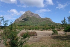 DSC07580