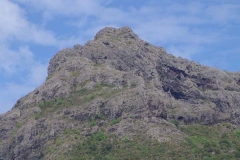 DSC07604