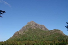 DSC07610